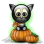 cat in pumpkin
